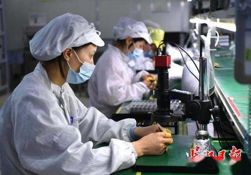 人勤春早 技術服務為春耕注入智慧動能