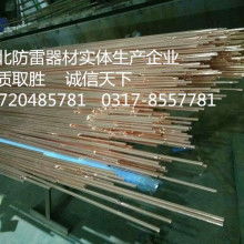 新昌縣威科特防電防雷器材廠 銅包鋼接地棒與防雷專家的守護者